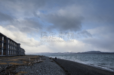 黄昏,海滩,自然,水平画幅,地形,肯奈半岛,户外,公寓,海洋,云