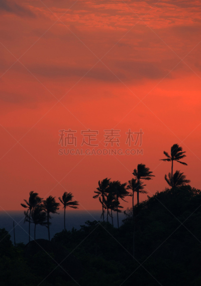 鸡尾酒,查温,苏梅岛,垂直画幅,天空,度假胜地,气候,沙子,无人,夏天