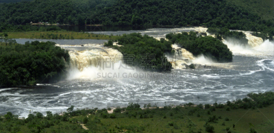 canaima,瀑布,委内瑞拉,亚马逊地区,水平画幅,湿,异国情调,户外,美洲,植物