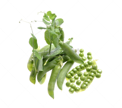 分离着色,仁,豌豆,植物类型,e组,水平画幅,无人,保加利亚,摄影