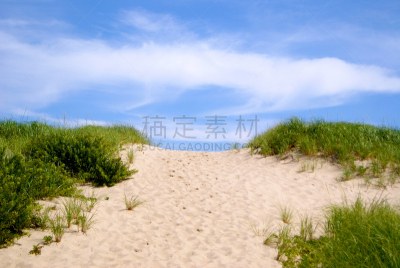 柯德角,沙丘,小路,天空,滨草,特罗,特鲁罗,水平画幅,枝繁叶茂,沙子