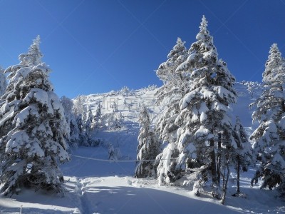 长野县,冬天,日本,八岳山,巴岳山,休眠火山,天空,里山,水平画幅,雪