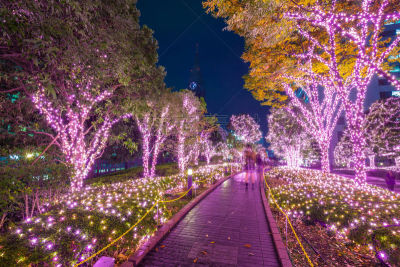 新宿区,东京,冬天,圣诞小彩灯,日本,美,水平画幅,夜晚,圣诞树
