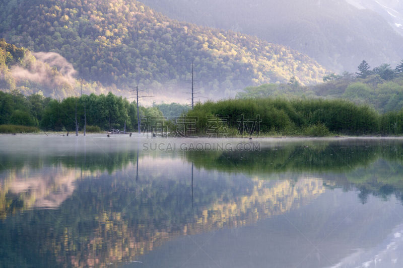 上高地国家公园,长野县,日本,春天,飞驒山脉,自然,度假胜地,水平画幅,枝繁叶茂,无人