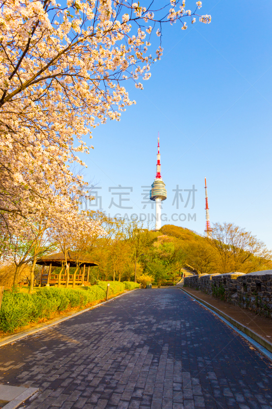 樱花,山,小路,首尔,塔,垂直画幅,天空,墙,无人,户外