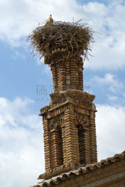 阿拉贡,鹳,西班牙,动物的巢,特拉华,埃布罗河,垂直画幅,天空,无人,鸟类