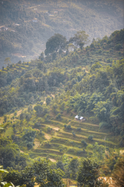 博卡拉,沙林扣山,费瓦湖,垂直画幅,天空,山,无人,夏天,户外,湖