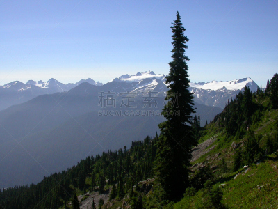 奥林匹士山,冰雹,奥林匹克山,美国,非都市风光,水平画幅,地形,冰河,无人,户外