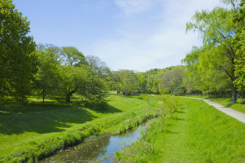 公園を流れる小川