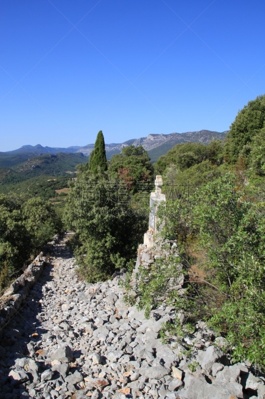 十字形,街道,马赛圣母院,悲哀之路,耶稣受难像,塞文山区,埃罗,受难记,松树,夏天
