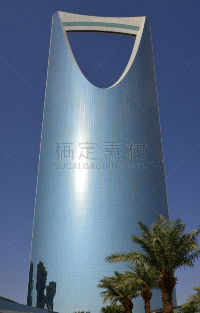棕榈树,沙特阿拉伯,塔,利雅得,横截面,街道,摄像机拍摄角度,商务,洞,华贵