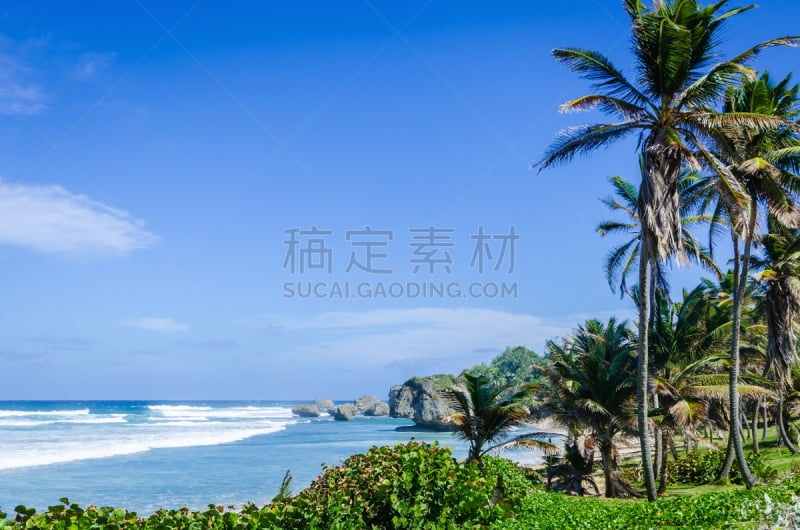 棕榈树,海滩,岩石,珊瑚,天空,留白,迎风岛,向风岛,地名,水平画幅