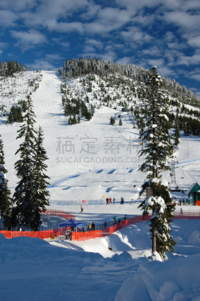 度假胜地,雪,垂直画幅,塞浦路斯碗滑雪场,温哥华,地形,无人,滑雪运动,大不列颠哥伦比亚,2010