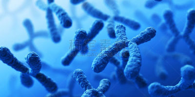 染色体,原子,神经元,脱氧核糖核酸,转基因,生物学,微生物学,生物科技,化学