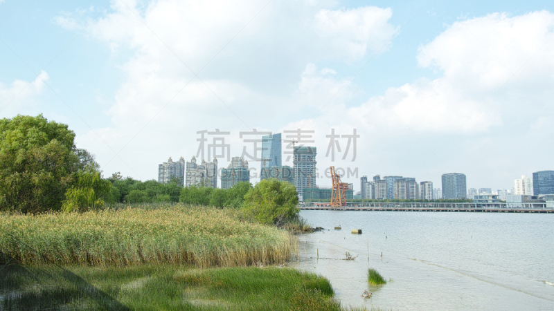 黄浦江,现代,上海,办公室,水,天空,水平画幅,无人,滨水,都市风景
