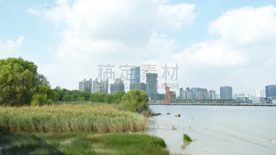 黄浦江,现代,上海,办公室,水,天空,水平画幅,无人,滨水,都市风景