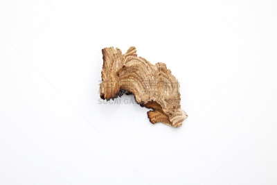 黄蜂,动物的巢,黄蜂巢,螫针,螫刺的,蜂箱,梳子,水平画幅,无人,特写
