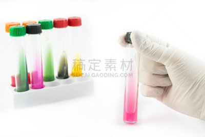 试管,实验室,拿着,护手套,动物手,卫生,生物学,微生物学,健康保健