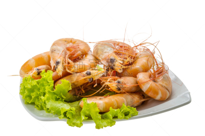 黑色虎虾,巨大的,春药,煮食,水平画幅,小的,无人,开胃品,有机食品,膳食