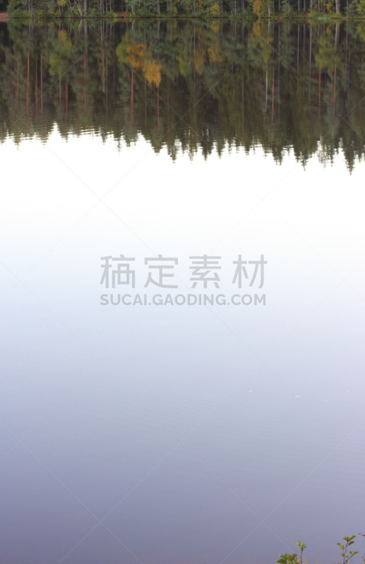 森林,湖,秋天,自然,垂直画幅,黄色,2015年,长湖,户外,俄罗斯