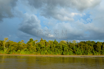 婆罗洲岛,马来西亚,雨林,京那巴丹岸河,自然,热带雨林,水,天空,公园,褐色