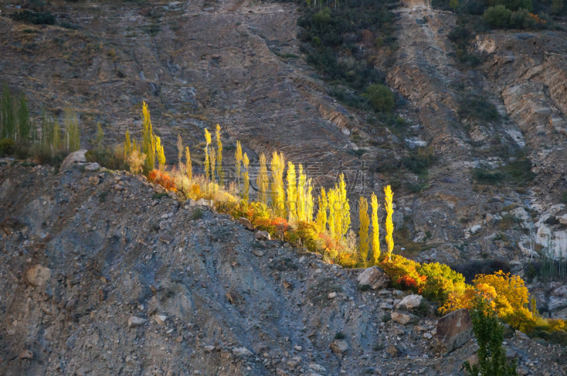 卡里马巴德,秋天,巴基斯坦,白杨,自然,宁静,水平画幅,无人,户外,山