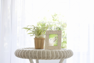 植物群,灌木,边框,风,水平画幅,无人,早晨,家具,干净,光