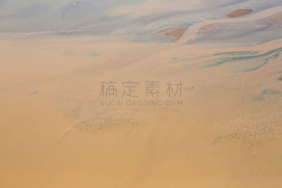 里夫特谷,坦桑尼亚,小火烈鸟,泡碱湖,航拍视角,肯尼亚,在之间,国境线,在上面,羊群