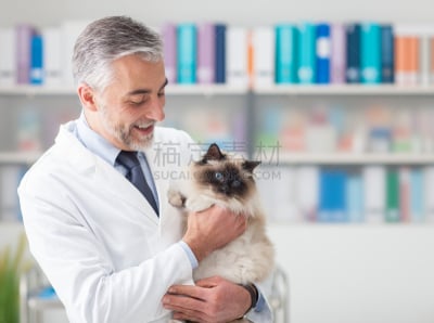 兽医,门诊部,野生猫科动物,动物诊疗室,正电子放射扫描,实验服,水平画幅,可爱的,家畜,猫科动物