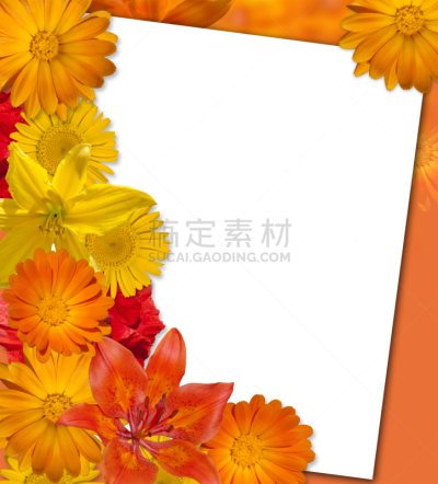 橙色,模板,垂直画幅,温带的花,无人,色彩鲜艳,传真纸,百合花,彩色背景,2015年