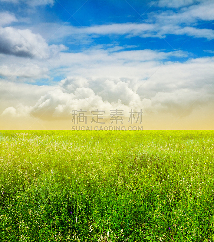 天空,田地,绿色,垂直画幅,无人,夏天,户外,草,云景,明亮