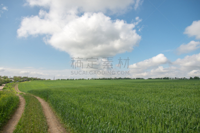 小麦,路,田地,自然,天空,水平画幅,乡村,蓝色,夏天,草