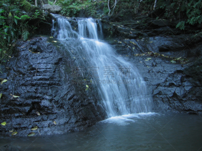 哈纳,小溪,寇阿相思树,纳帕里海岸州立公园,考艾岛,水,水平画幅,秋天,太平洋岛屿,户外