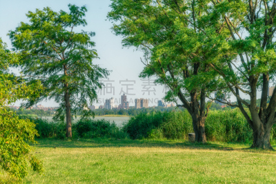 法拉盛,纽约州,水,天空,新的,曼哈顿鸡尾酒,腰部以下,学校宴会,都市风景,现代