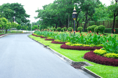 公园,色彩鲜艳,水平画幅,夏天,户外,草,花园路,小路,花头,床