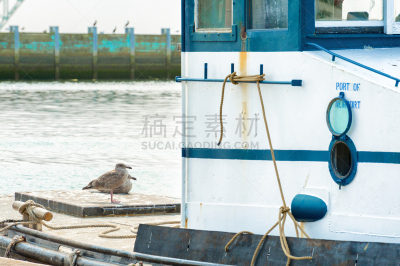 商用码头,特写,下一个,雅吉那湾灯塔,罗德新港,纽波特,德国柏林夏洛坦堡宫殿,纽波特比奇,水,俄勒冈州