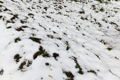 新的,气候,沙子,雪,完美,白色,十二月,冬天,雪花,平滑的