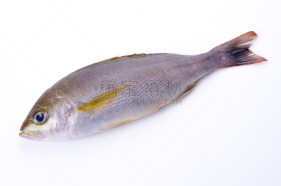 鸡肉,白色,水平画幅,膳食,海产,清新,鱼类,gruntfish,背景,食品