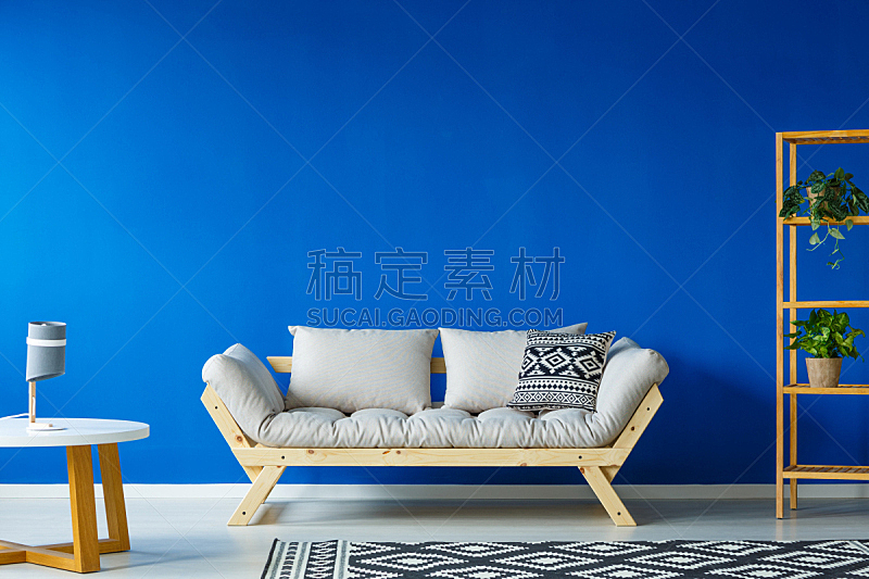 蓝色,起居室,植物群,留白,水平画幅,地毯,家具,明亮,反差,现代