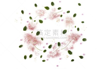边框,叶子,绿色,紫色,圆形,烟,种子,花蕾,粉色,树