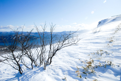 屈斜路湖,山口,冬天,日本,北海道,阿肯国家公园,国家公园,水平画幅,雪,旅行者