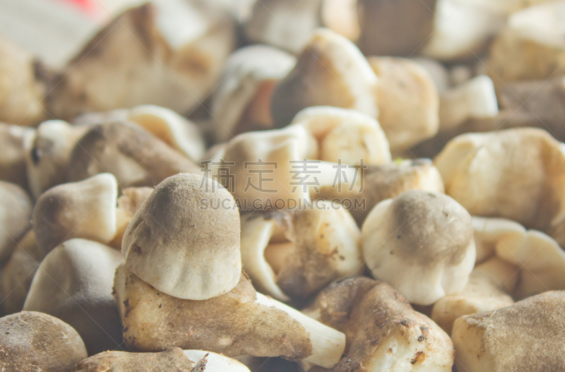草菇,褐色,水平画幅,素食,生食,膳食,商店,篮子,明亮,白色