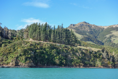 akaroa,都市风景,城镇,风景,图像,海洋,大洋洲,著名景点,新西兰,无人
