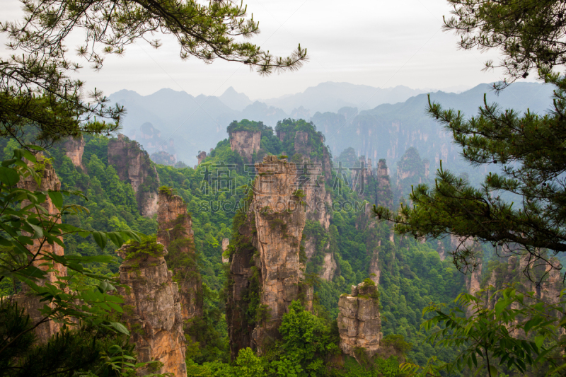 张家界国家森林公园,山,地形,中国,天子山,白云山脉,武陵源,张家界,湖南省,自然立柱