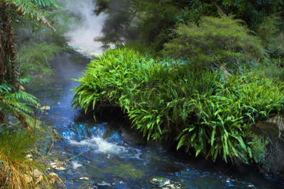 温泉,自然美,水,褐色,水平画幅,枝繁叶茂,无人,火山地形,户外,烟