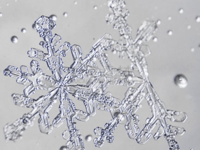 雪花,美,水平画幅,雪,无人,特写,想法,白色,十二月