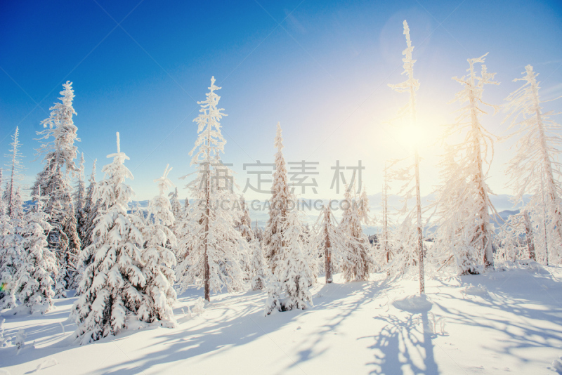 冬天,地形,山,乌克兰,宏伟,雨夹雪,寒冷,风,环境,雪