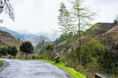 龙胜,梯田,居住区,路,稻,龙脊山,龙脊梯田,桂林,水稻梯田,当地著名景点