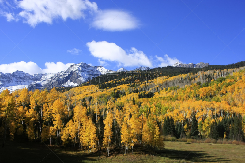 斯奈佛尔斯山脉,山,科罗拉多州,海登山,uncompahgre national forest,奥瑞县,白杨类,天空,水平画幅,雪