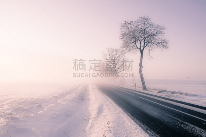 冬天,冷,自然,寒冷,水平画幅,雪,无人,户外,冰,霜